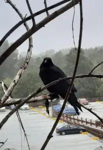 Jacquelien 02 Ontbijt